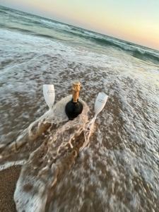 Белый Берег - 42