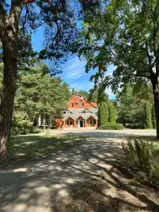 Комарово Спорт - 22
