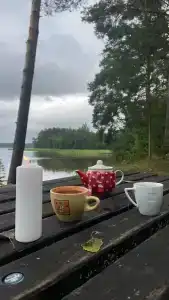 Медовец - 16