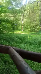 Простоквашино - 25