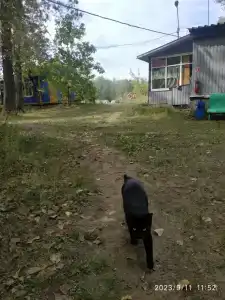 Бодрость - 92