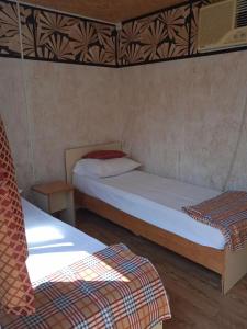 Светлана - 43