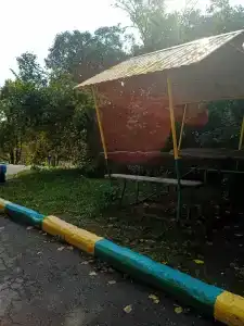 Солнечный - 17
