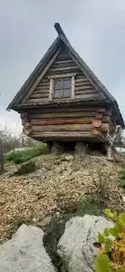 Рябинка - 8