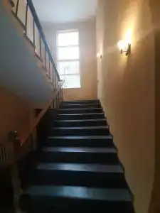 Хвойный парк - 3