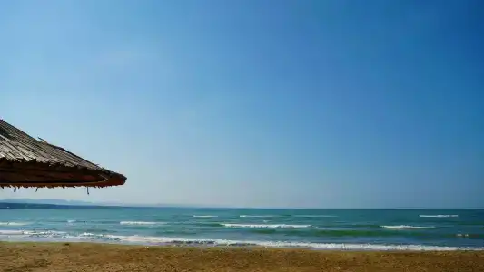 Солнечный пляж - 14