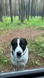 База Путеец - 25