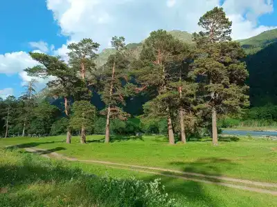 Эдельвейс - 3