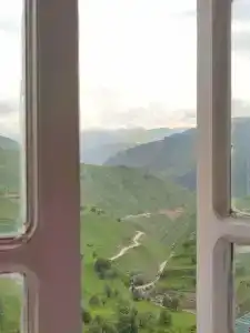 у тёти Ханий - 25