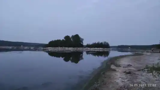 Сосенка - 11