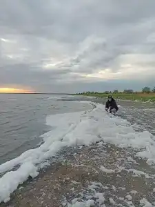 Малое Яровое - 4