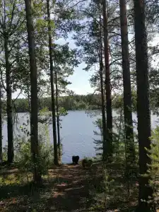 Гостевой комплекс в д. Нурмолицы - 77