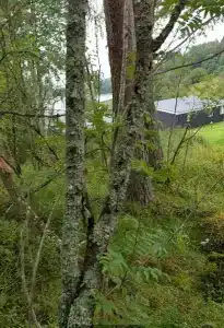 Дом в Карелии с видом на Ладогу - 96