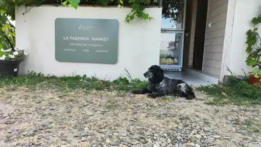 La Fazenda - 12