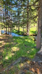 Kuiaktanar Camping - 34