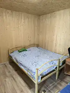 Тополя - 24