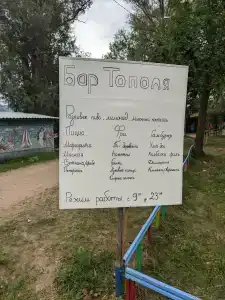 Тополя - 45