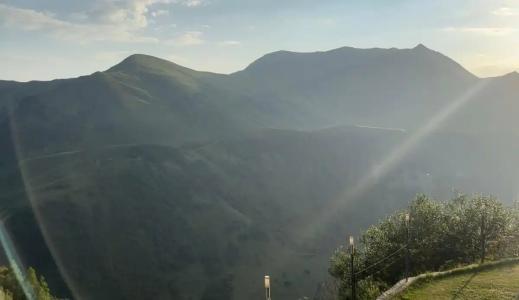 Monte - 37