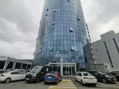 Sunflower by Zont - 1