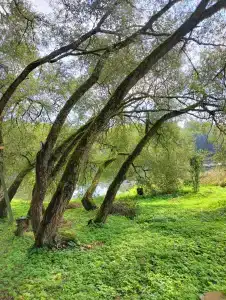 Веселый Роджер - 19