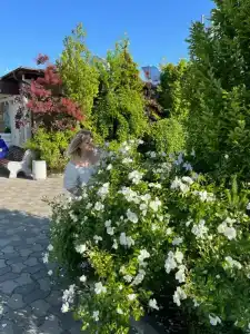 РиверСайд - 65