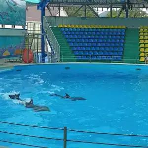 Семейный Уголок - 10