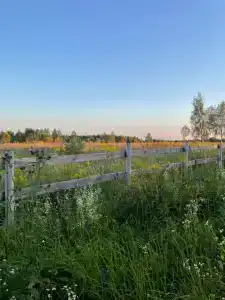 ПолеДом - 93