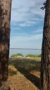 Ивушка - 11