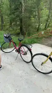 Гостевой дом Элиза Заркау - 55