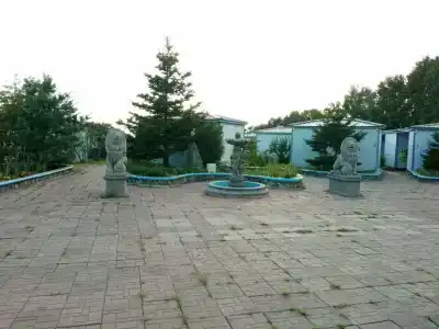 Созвездие Льва - 11