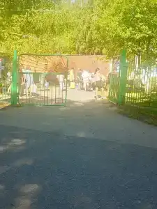 Салют - 5