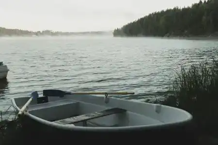 Villy Uley Karelia (Вили Улей Карелия) - 6