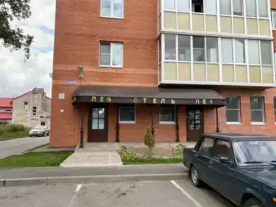 Лев - 2