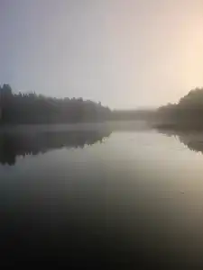Березка - 22