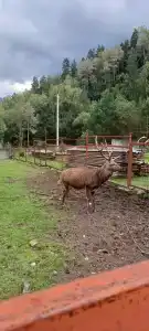 Солонечный - 42