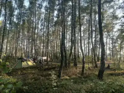 Белое озеро - 27