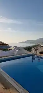 Sunny Hill Alya - 61