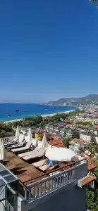 Sunny Hill Alya - 87