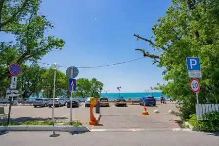 Компас Магнолия - 35