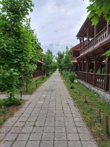 Три медведя - 78