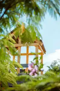 Усадьба Дивноморье - 17