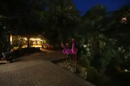 Элизабет - 35