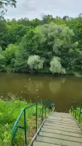 Росинка - 1