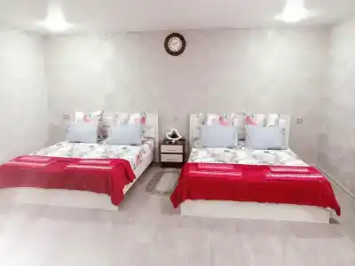 Лира - 9