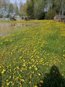 Подмосковный домик - 89