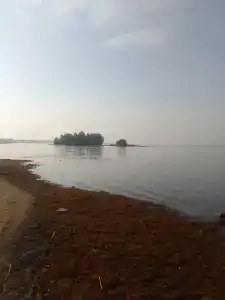 Жемчужина - 52