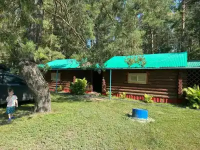 Час - 12