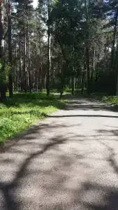 Ангара Курорт - 18