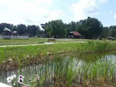 Виваль - 25
