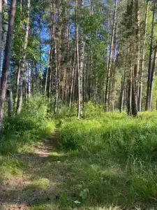 Кемпинг у Катуни - 22